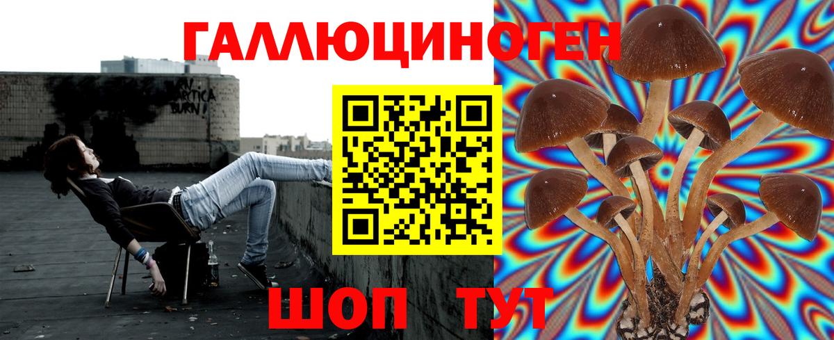 Галлюциногенные грибы мицелий Туапсе